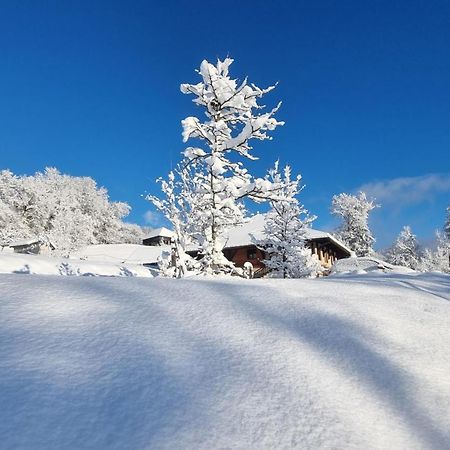Le Refuge Du Montagnard Bed & Breakfast Marthod ภายนอก รูปภาพ