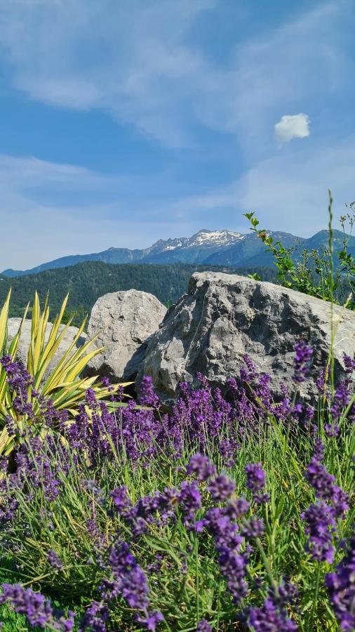 Le Refuge Du Montagnard Bed & Breakfast Marthod ภายนอก รูปภาพ