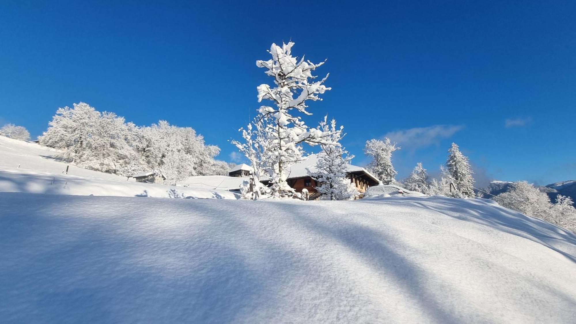 Le Refuge Du Montagnard Bed & Breakfast Marthod ภายนอก รูปภาพ